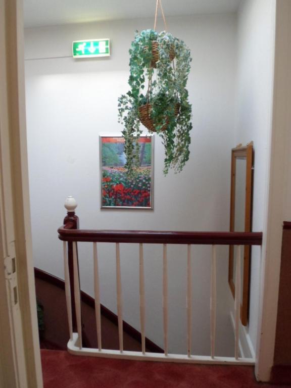 Staten Hotel Χάγη Εξωτερικό φωτογραφία